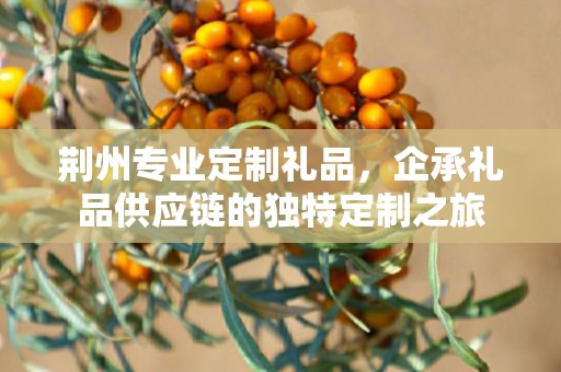 荆州专业定制礼品，企承礼品供应链的独特定制之旅