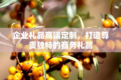 企业礼品高端定制，打造尊贵独特的商务礼品