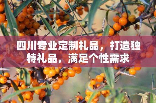 四川专业定制礼品，打造独特礼品，满足个性需求