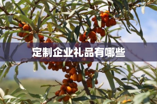 定制企业礼品有哪些