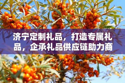济宁定制礼品，打造专属礼品，企承礼品供应链助力商务之选