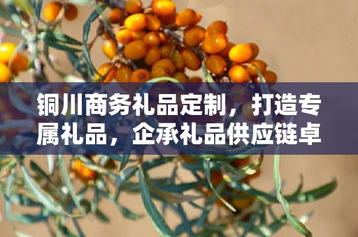 铜川商务礼品定制，打造专属礼品，企承礼品供应链卓越服务