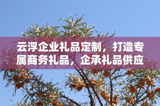 云浮企业礼品定制，打造专属商务礼品，企承礼品供应链助力企业发展