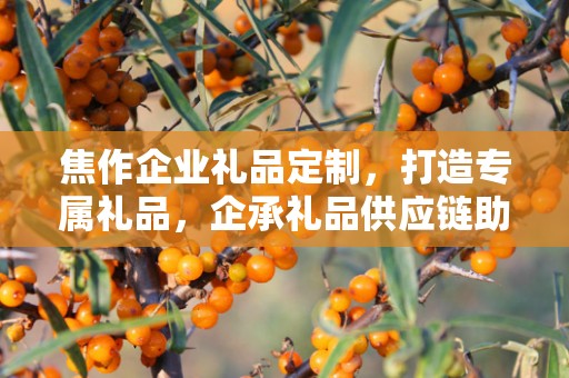 焦作企业礼品定制，打造专属礼品，企承礼品供应链助力商务往来