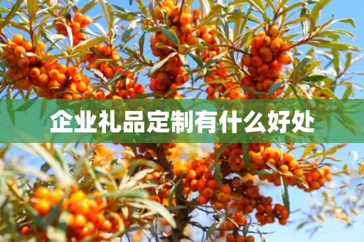 企业礼品定制有什么好处