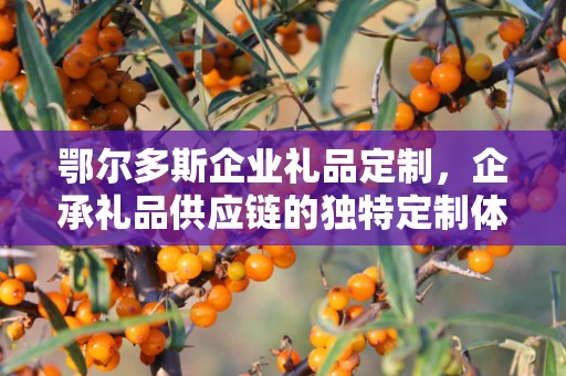 鄂尔多斯企业礼品定制，企承礼品供应链的独特定制体验