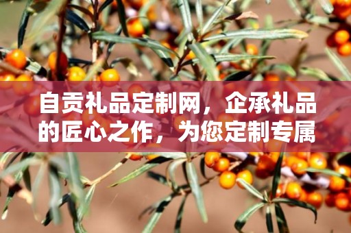 自贡礼品定制网，企承礼品的匠心之作，为您定制专属礼品的独特体验