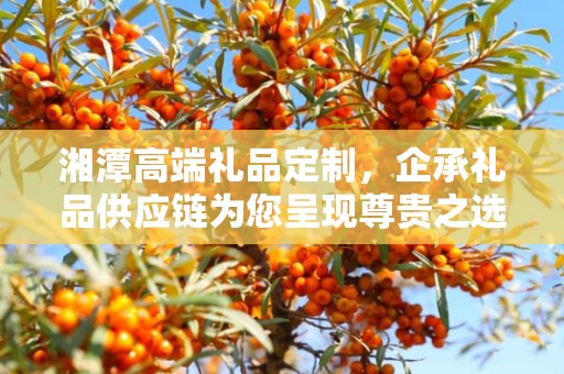 湘潭高端礼品定制，企承礼品供应链为您呈现尊贵之选