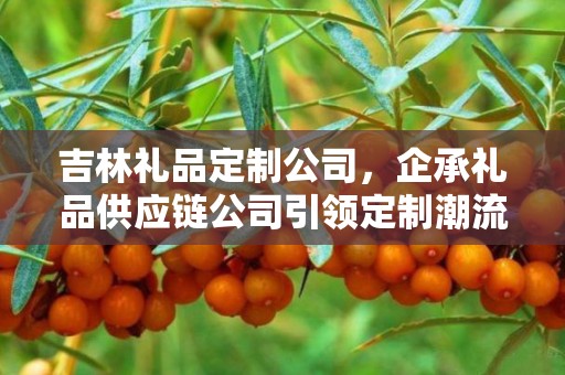 吉林礼品定制公司，企承礼品供应链公司引领定制潮流