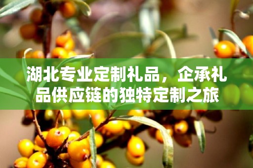 湖北专业定制礼品，企承礼品供应链的独特定制之旅