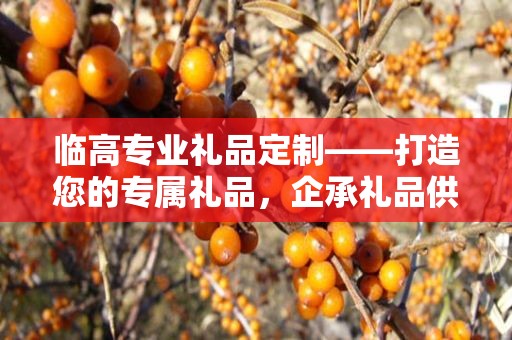 临高专业礼品定制——打造您的专属礼品，企承礼品供应链为您保驾护航