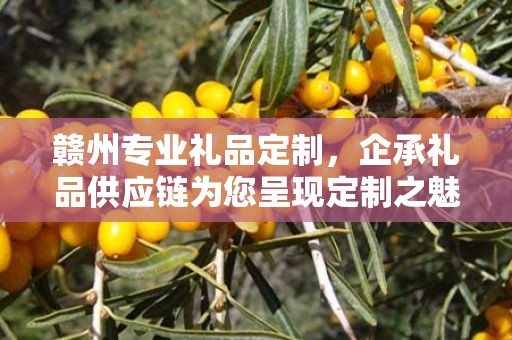 赣州专业礼品定制，企承礼品供应链为您呈现定制之魅力