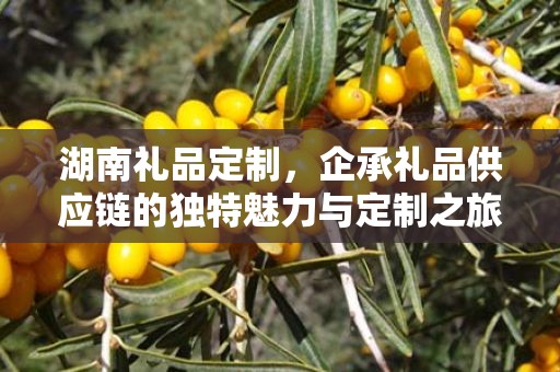 湖南礼品定制，企承礼品供应链的独特魅力与定制之旅