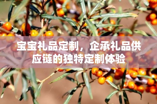 宝宝礼品定制，企承礼品供应链的独特定制体验