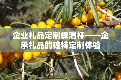 企业礼品定制保温杯——企承礼品的独特定制体验