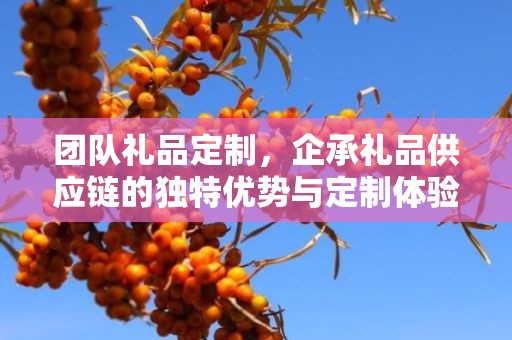 团队礼品定制，企承礼品供应链的独特优势与定制体验