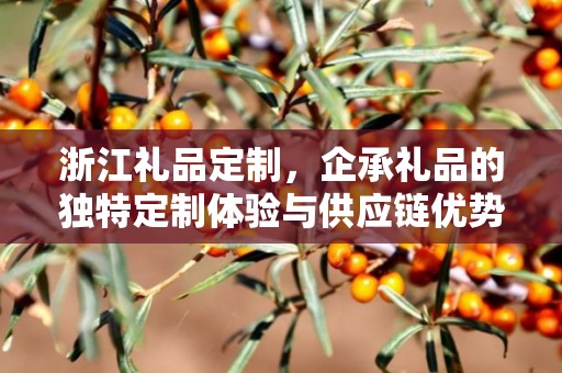 浙江礼品定制，企承礼品的独特定制体验与供应链优势
