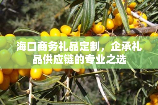 海口商务礼品定制，企承礼品供应链您身边的专业礼品定制公司