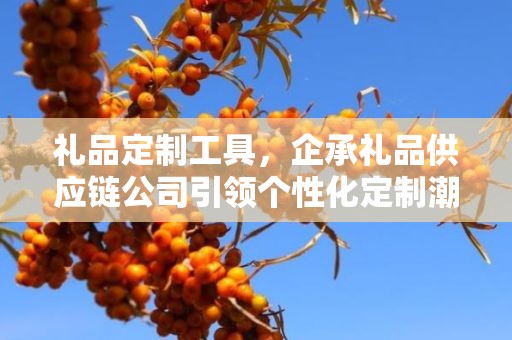 礼品定制工具，企承礼品供应链公司引领个性化定制潮流