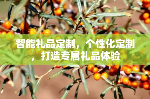 智能礼品定制，个性化定制，打造专属礼品体验